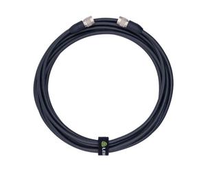 Lewitt câble à 10 broches LCT 1040 CBL5