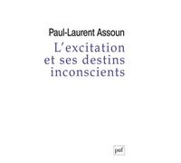 L'excitation et ses destins inconscients Court traité psychanalytique de l'excitation - Paul-Laurent Assoun - Puf - broché - Livre