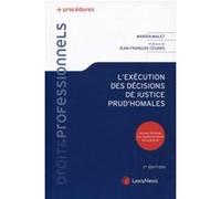 L'exécution des décisions de justice prud'homales Marien Malet (Auteur)