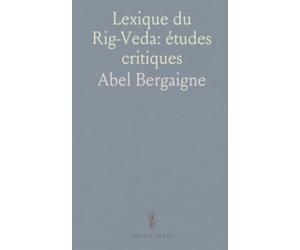 Lexique du Rig-Veda: études critiques: Méthodes, enjeux et exemples pour l’interprétation des hymnes védiques