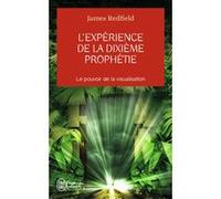 L'expérience de la dixième prophétie Carol Adrienne (Auteur), James Redfield (Auteur), Yves Coleman (Traduction)