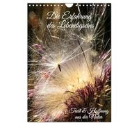 L'expérience d'être vivant, Version française (Calendrier mural 2026 DIN A4 portrait), Calendrier CALVENDO mensuel