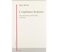 L'expérience Du Penser - Phénoménologie, Philosophie, Mythologie