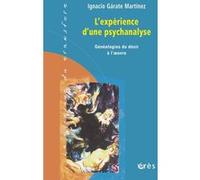 L'expérience d'une psychanalyse Ignacio Garate-Martinez (Auteur)