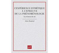 L'expérience esthétique à l'épreuve de la phénoménologie : La tristesse du roi