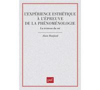 L'expérience esthétique à l'épreuve de la phénoménologie : La tristesse du roi