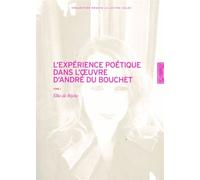 Experience Poétique dans l'Œuvre d'André du Bouchet