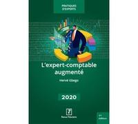 L'expert-comptable augmenté Hervé Gbego (Auteur)