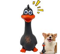 Lexsyn Jouets Couineurs pour Chiens | Poulet Doux Qui Crie | Jouet À Mâcher en Latex Interactif pour Chien | pour Entraînement Mastication Dentsition Jeu Intérieur Extérieur