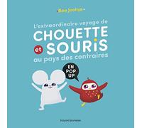 L'extraordinaire Voyage De Chouette Et Souris Au Pays Des Contraires - En Pop-Up