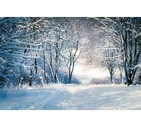 Leyiyi Toile de fond en vinyle 3 x 2 m avec forêt enchantée enchantée recouverte de neige - Paysage d'hiver - Paysage nature randonnée - Fond de photographie joyeux Noël Nouvel An - Accessoire de