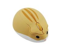 LEYMING Wireless Mouse with USB Nano Receiver