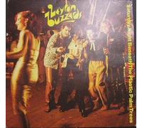 LEYTON BUZZARDS - SATURDAY NIGHT BENEATH THE PLASTIC PALM TREES 7 INCH (7" 45) UK CHRYSALIS 1979