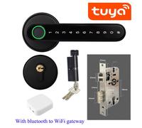 Lezioni Sulla Teoria Dei Numeri Algebrici E Prncipi D'aritmetica Analitica; Corso D'analisi 1920-21, 20 Semestre