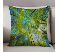 LEZUAHSH Housse de Coussin 50x50 cm,Canopée des Arbres du Parc d'État d'Ohiopyle,Housse Coussin Exterieur Coussin Decoratif Canape,pour canapé,Maison,Bureau