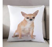 LEZUAHSH Housse de Coussin 50x50 cm,Chihuahua à Poil Court Canidé Assis Animaux Mignons Faune Adorable,Housse Coussin Exterieur Coussin Decoratif Canape,pour canapé,Maison,Bureau