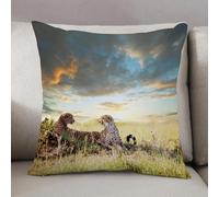 LEZUAHSH Housse de Coussin 50x50 cm,Décor de Safari, Deux guépards, Nature Africaine, Animaux Dangereux, Chasseurs,Housse Coussin Exterieur Coussin Decoratif Canape,pour canapé,Maison,Bureau