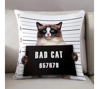 LEZUAHSH Housse de Coussin 50x50 cm,Un Chat Grincheux Tient dans Ses Pattes Une Pancarte avec l'inscription. Chat GR,Housse Coussin Exterieur Coussin Decoratif Canape,pour canapé,Maison,Bureau