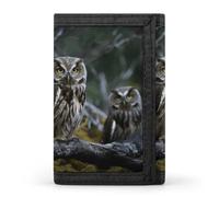 LFDSYEOQ Petit portefeuille à trois volets pour femme et homme avec porte-cartes de crédit pour vin blanc, fromage, raisins, Oiseaux de chouette, Taille unique, Décontracté