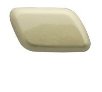 LFDTO Couvercle de buse de pulvérisation for pare-choc avant de voiture, adapté for Ford Kuga 2013 2014 2015 2016 2017 Escape 2017 2018 2019(Gold RH)