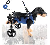 LFHWHKJ Fauteuil roulant for chiens, chariots for petits chiens avec corde de traction, réglable et léger, aide à la mobilité des membres postérieurs for animaux blessés, handicapés, paralysés ou faib