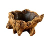 LfrXtra Pots de fleurs décoratifs en ciment avec racines d'arbre naturelles esthétiques pour bonsaïs et amateurs d'intérieur ou d'extérieur