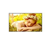 LG 50UL5Q-E Écran d'affichage webOS 4K UHD de 50 pouces pour un fonctionnement continu