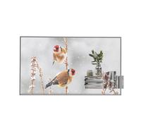 LG 55EW5P-M Affichage OLED transparent