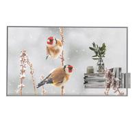 LG 55EW5P-M/OLED 55'' transparent OpenFrame