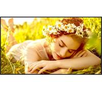 LG - Afficheur professionnel 43" UHD 43UL5Q-E-E