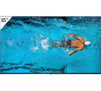 LG - Afficheur professionnel 65" UHD 4K 65UL3J