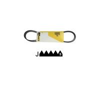 Lg - Courroie 1173 J5 El - Ref: 7742729