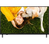 LG- Téléviseur Professionnel 65" 65UA751C