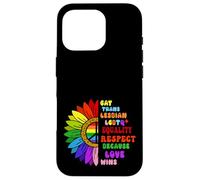 LGBTQ+ Rainbow Vintage Equality Respect Parce Que l'amour gagne Coque pour iPhone 16 Pro