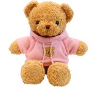 LGWJHCY Ours en Peluche Peluche Jouet, 30cm Ours en Peluche avec Patte à Capuche Impression Jouet, Peluche Jouet, Mignon Jouet en Peluche Cadeau (Rose)