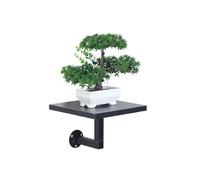 Lh7sRc3kH étagère Flottante Rustique Étagères flottantes carrées Étagère Murale de Style Compact(Noir)