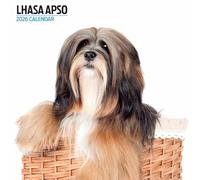 Lhassa Apso Calendrier moderne 2026