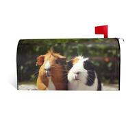 LHBWCVN Housse de boîte aux lettres magnétique personnalisée pour boîte aux lettres de bienvenue pour jardin, cour, décoration de boîte aux lettres surdimensionnée, 64,8 x 53,3 cm