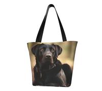 LHBWCVN Joli sac fourre-tout pour femme avec poignée sur le dessus, grand sac à main décontracté, sac de courses esthétique, sac d'épicerie, sac de travail, sac de voyage, sac de plage