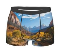 LHDGBWC Boxer pour homme - Ultra doux - Brossé - Stretch - Zion National Park, noir, Medium