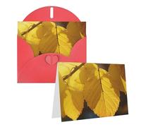 LHDGBWC Carte « Thinking of You » avec enveloppes, carte de vœux vierge de 10,2 x 15,2 cm, carte d'anniversaire pour toutes les occasions, cartes de vœux pour mariage, cartes de remerciement, cartes