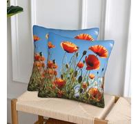 LHDGBWC Lot de 2 housses de coussin décoratives carrées modernes, douces, pour canapé, chambre à coucher, salon, 45,7 x 45,7 cm, motif coquelicots sur ciel bleu