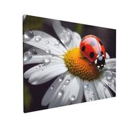 LHDGBWC Toile murale à suspendre - Impressions sur toile de peintures à thème coccinelle sur marguerite - Impressions sur toile de peintures à thème moderne - 30,5 x 40,6 cm - Pour décoration murale