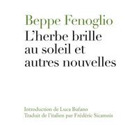 L'herbe brille au soleil et autres nouvelles - Beppe Fenoglio - Institut Culturel Italien Paris - broché - Roman
