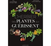 L'Herbier des plantes qui guérissent Pierre Vignes (Auteur), Délia Vignes (Auteur), Gérard Debuigne (Auteur), François Couplan (Auteur)