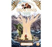L'Héritier des Draconis - Nouvelle édition - Tome 2 La Sculptrice de dragons Carina Rozenfeld (Auteur), Lucile Leca (Illustration)