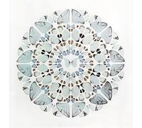 LHHJF LJHFA Affiche Abstraite Classique Damien Hirst Art Mural Vintage Damien Hirst Peinture et Impressions Décoration Moderne 60x60cm sans Cadre