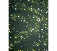 LHHJF LJHFA Affiche Alex Katz Aesthetics Plante Toile de Paysage Peinture d’Alex Katz Art Mural et Impressions Mode Décoration intérieure Photo 50x70cmx1 sans Cadre