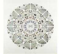 LHHJF LJHFA Affiche Classique de Damien Hirst, Peinture en Forme de Papillon Peinture Murale Vintage Gravures et Photos Damien Hirst Décoration de la Salle de la Maison 60x60cm sans Cadre