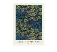 LHHJF LJHFA Affiche de Plante William Morris Art Mural Abstrait Fleur Peinture et estampes sur Toile William Morris Mode décoration intérieure 40x60cm sans Cadre